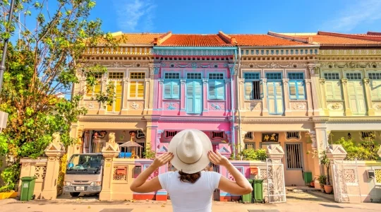 シンガポール市内観光 フォトジェニックツアー ～アラブストリート+カトン散策 ～